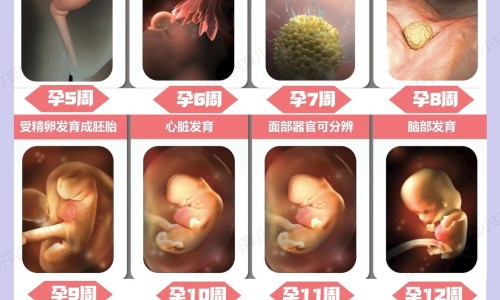 肿瘤六项指标都正常说明什么区别网 - 为你提供肿瘤六项是都是0最好吗、肿瘤六项各代表什么
