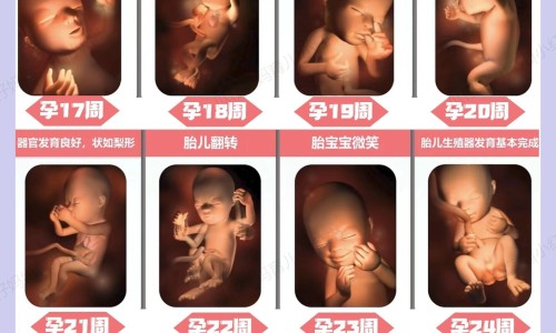 肿瘤六项指标都正常说明什么区别网 - 为你提供肿瘤六项是都是0最好吗、肿瘤六项各代表什么